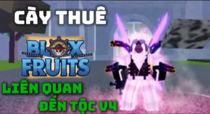 Cày Thuê Up Tộc V4